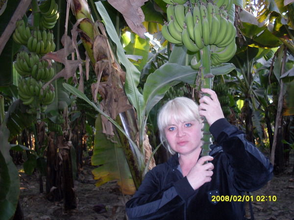 Светлана Горских