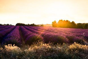 Наталья Кораблева