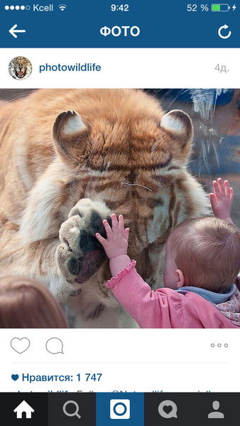 Рахим Кажыгалиев