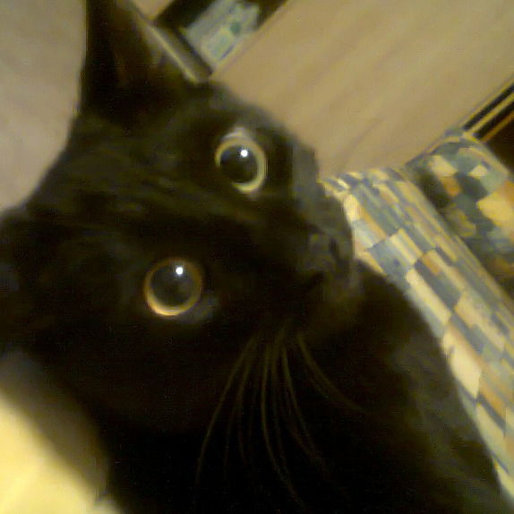 Оксана Васечко