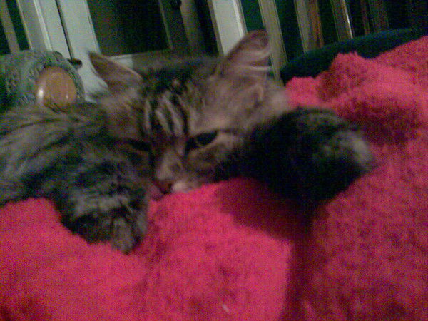 Костя73 Никитчук