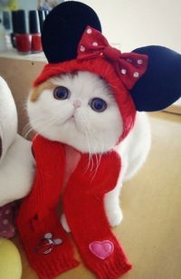 Танюшка Рычкова