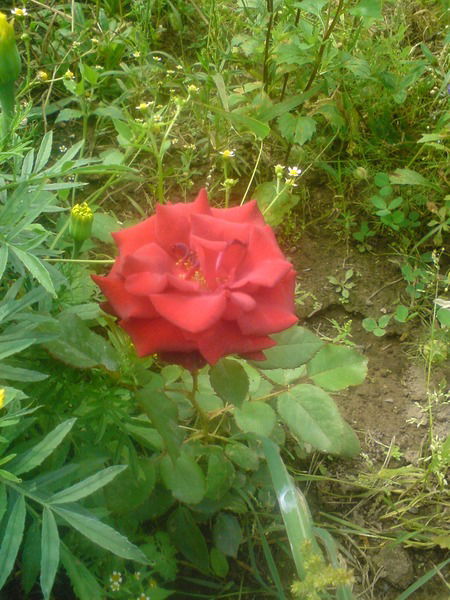 Наталия Жилякова(Ионова)