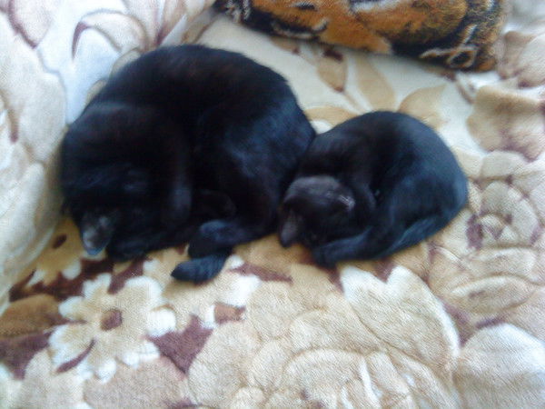 Марина Гарусова