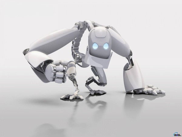 Андрей Краснокуцкий