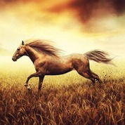 Маша Феклистова