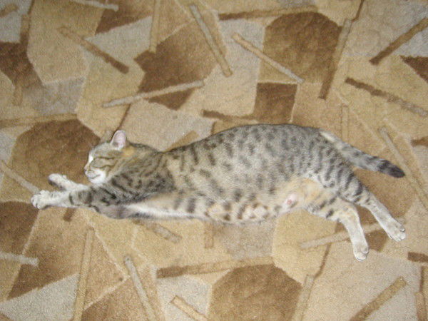 Татьяна Егоровна