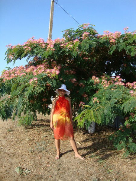 Вкторя Сапга