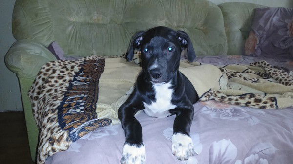 Ольга Осипова