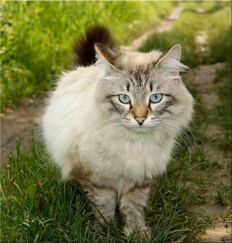 Наталья Морозова