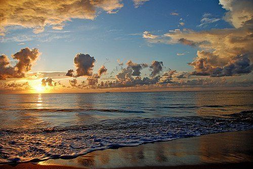 Каролина Дианисьева