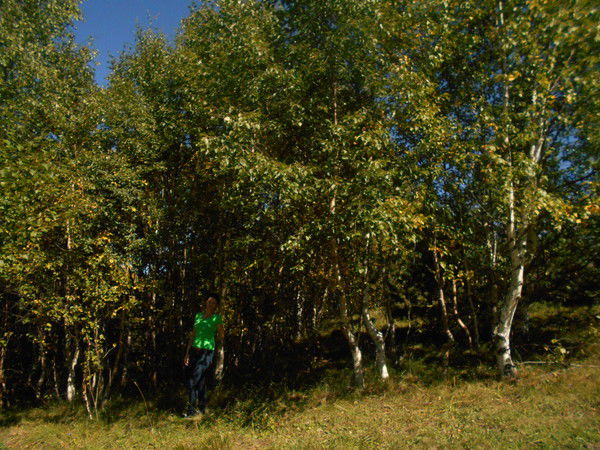 Наталья Малахова