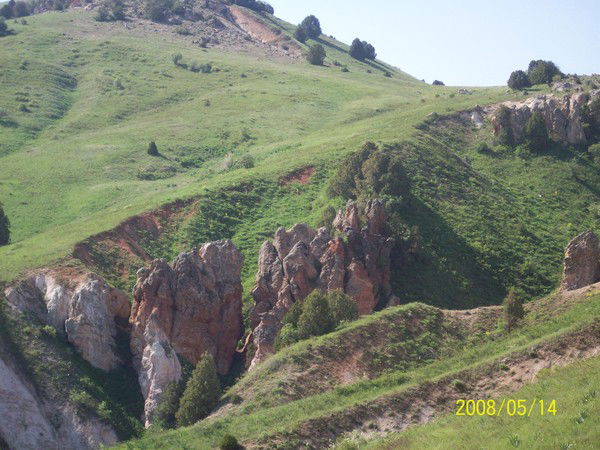 Эльмира Абдиева