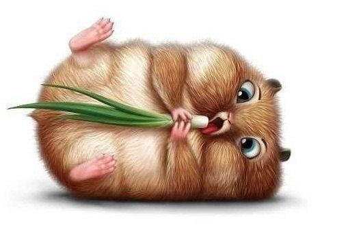 Виталий Бача