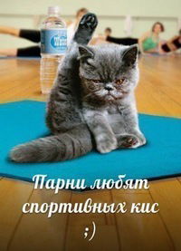 Александр Толстый