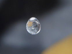 Владимир Коптев