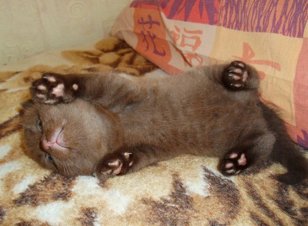 Алевтина Ким