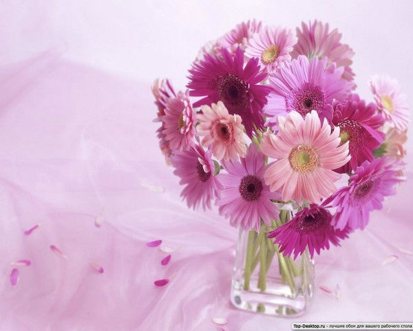 Людмила Когданиана