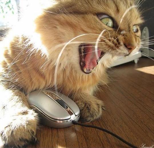 Андрей Хлуденев