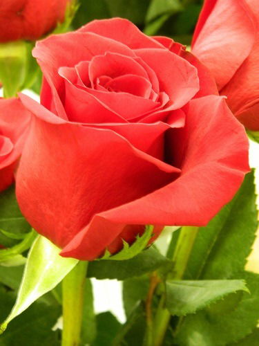 Татьяна Ахметзянова