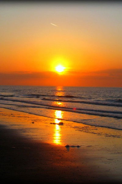 Екатерина Ким