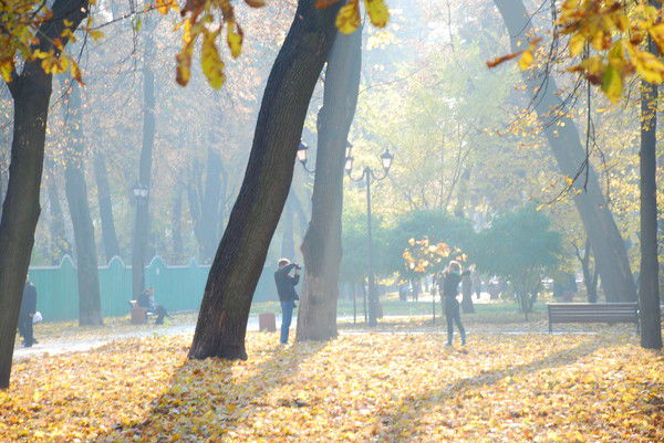 Дмитрий Сидоренко