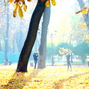 Дмитрий Сидоренко