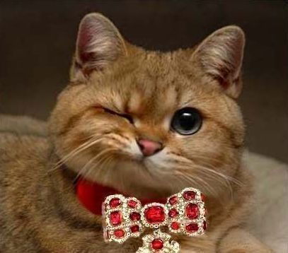 Саханца Гарфилд