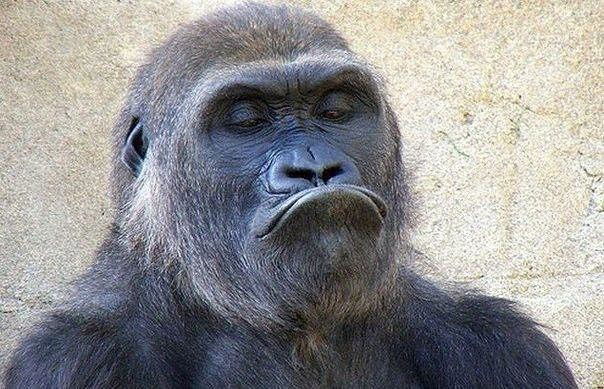 Денис Долинский