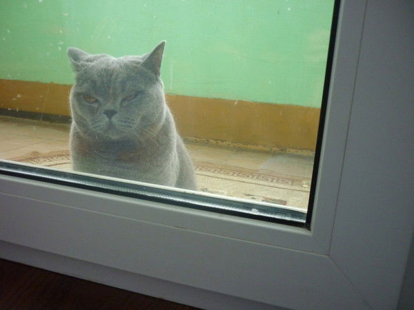 Игорь Лебедев