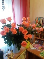 Сима Жукова