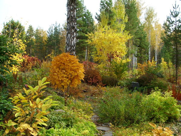 Людмила Кильчик