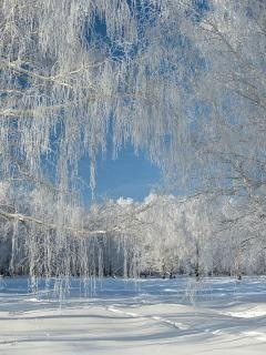 Геннадий Астахов