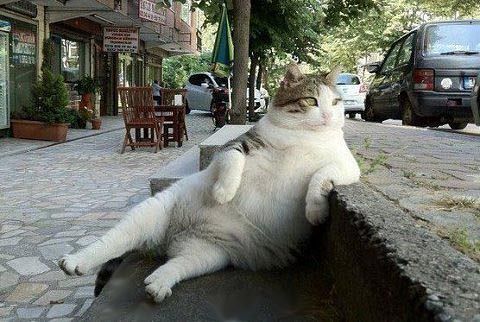 Сергей Калашник