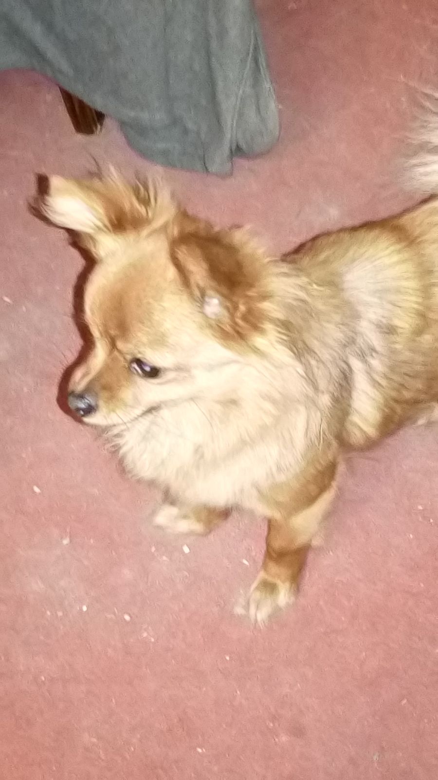 Александр Парфенов