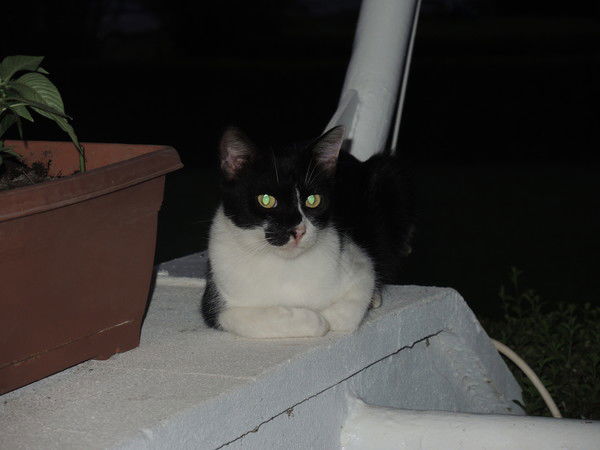 Сергей Кузин