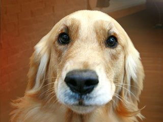 Александр Заутдинов