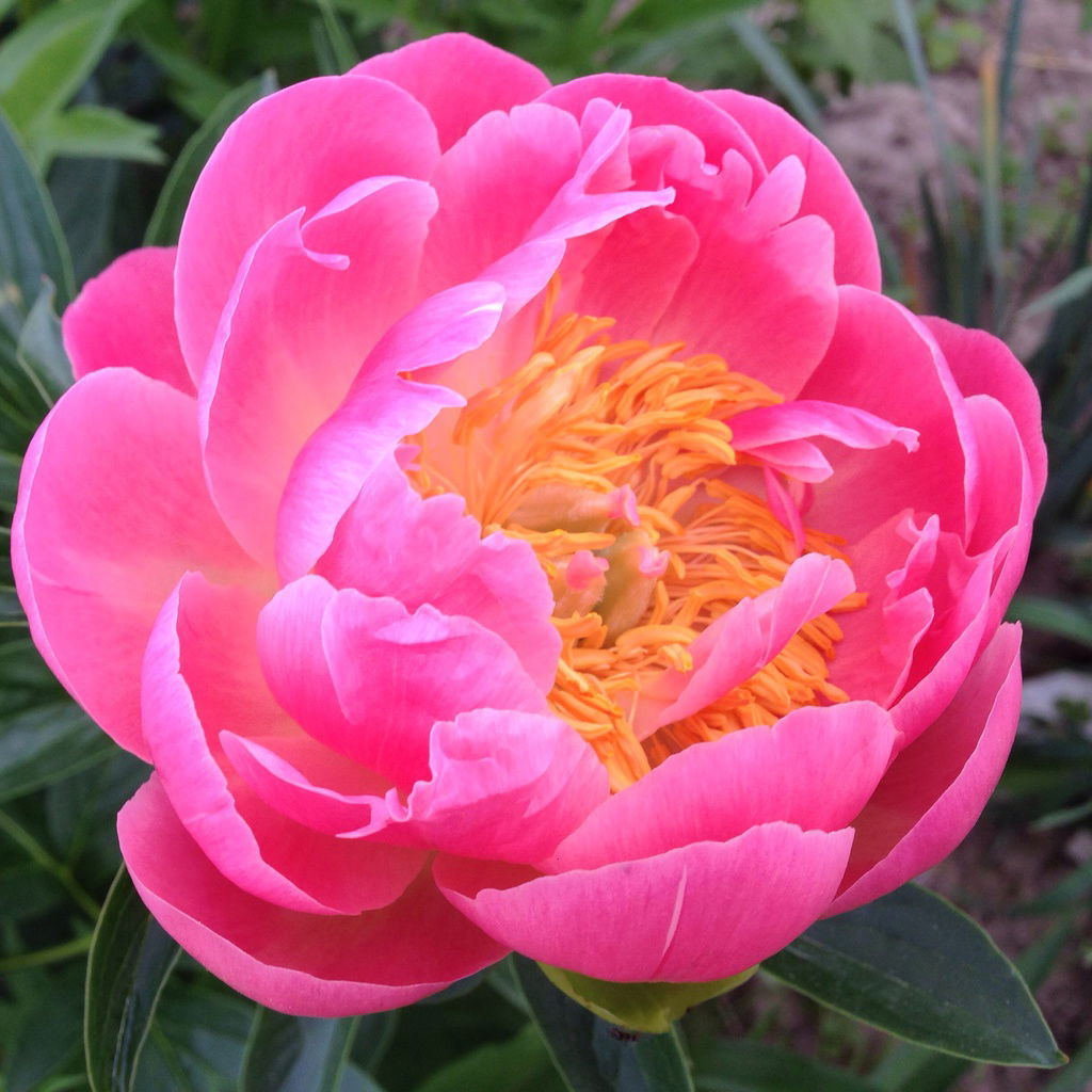 Татьяна Флейм