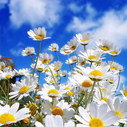 Анастасия Богдашкина