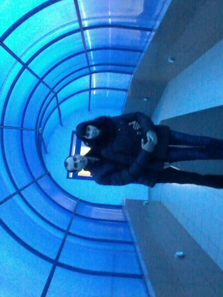 Андрей Зайцев