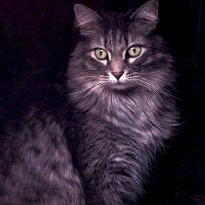 Надежда Здорикова