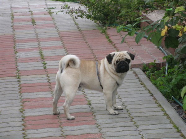 Наталия Березенкова