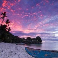 Диана Шинкаренко