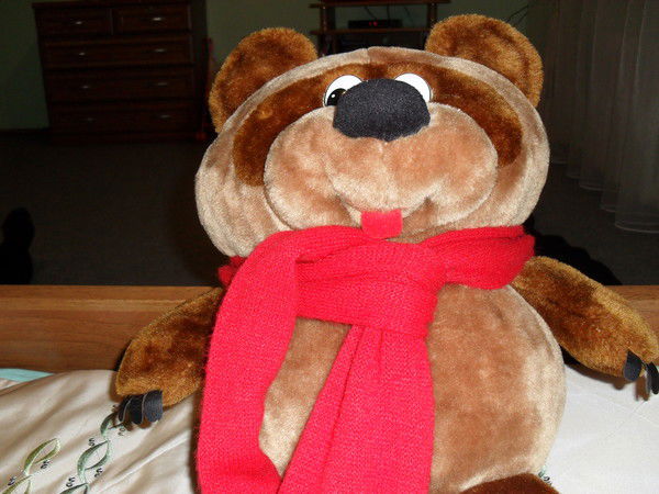 Гульжан Касымова