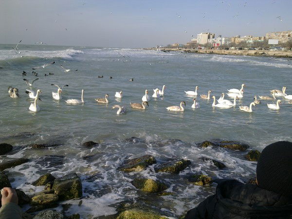 Жаныл Доскалиева