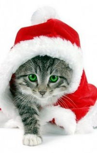 Нина Братенкова