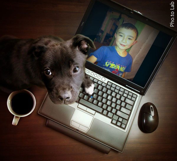 Саят Маулиев