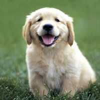 Наташа Маркова