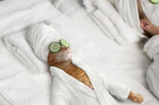 Светлана Гутова