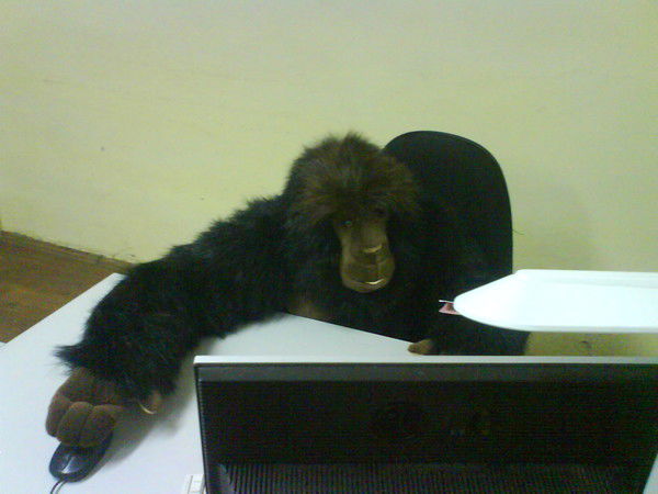 Сергей Шалютин